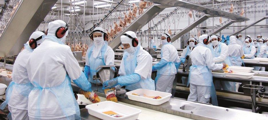 Trabalho em frigoríficos adoece